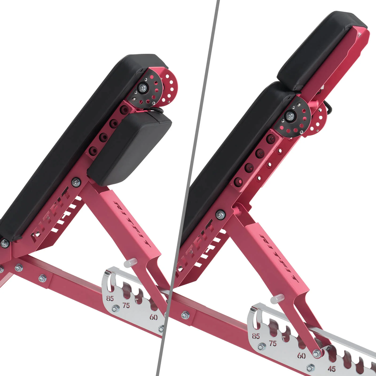 RitFit GATOR Pink 1600LB Adjustable Weight Bench - Image 3