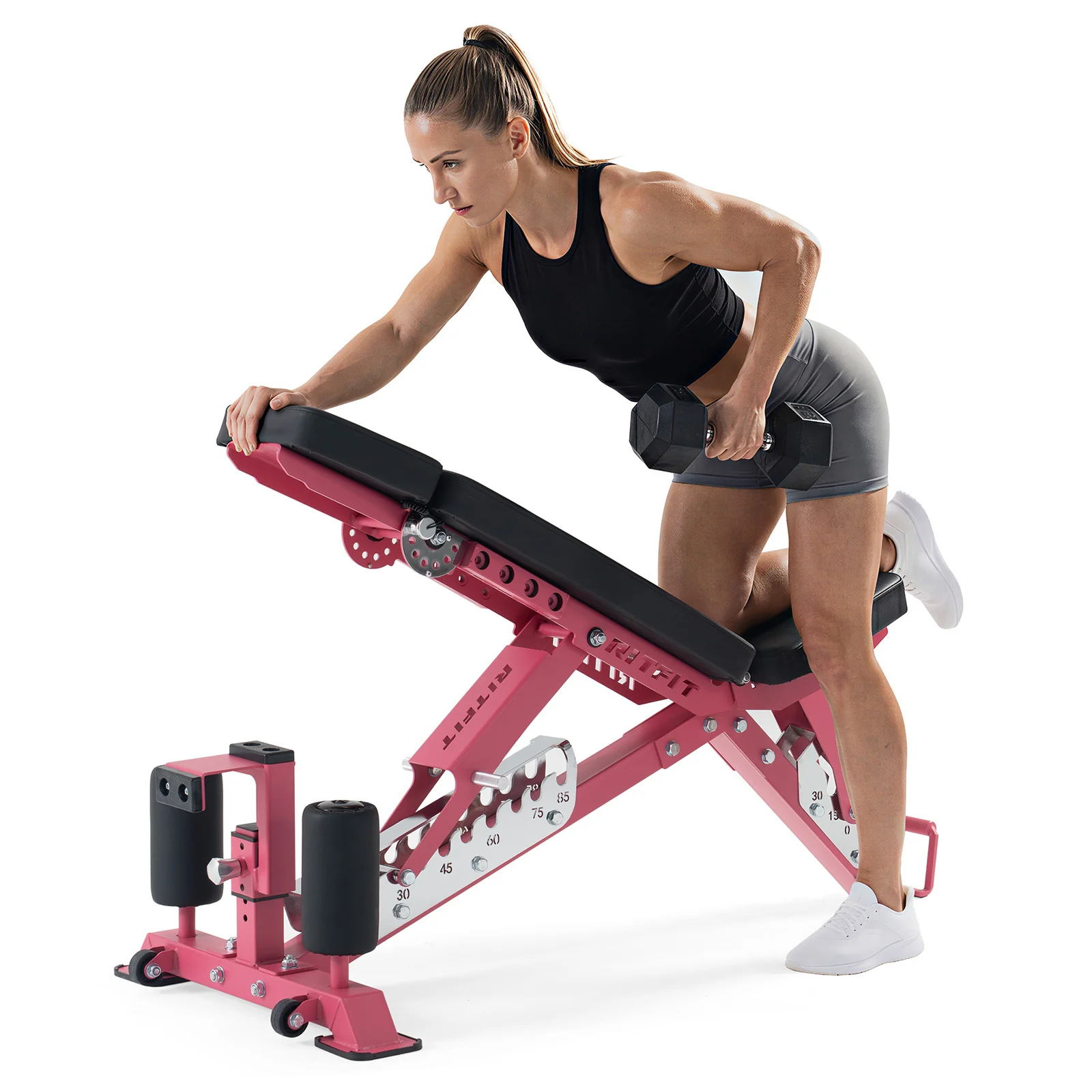 RitFit GATOR Pink 1600LB Adjustable Weight Bench - Image 4