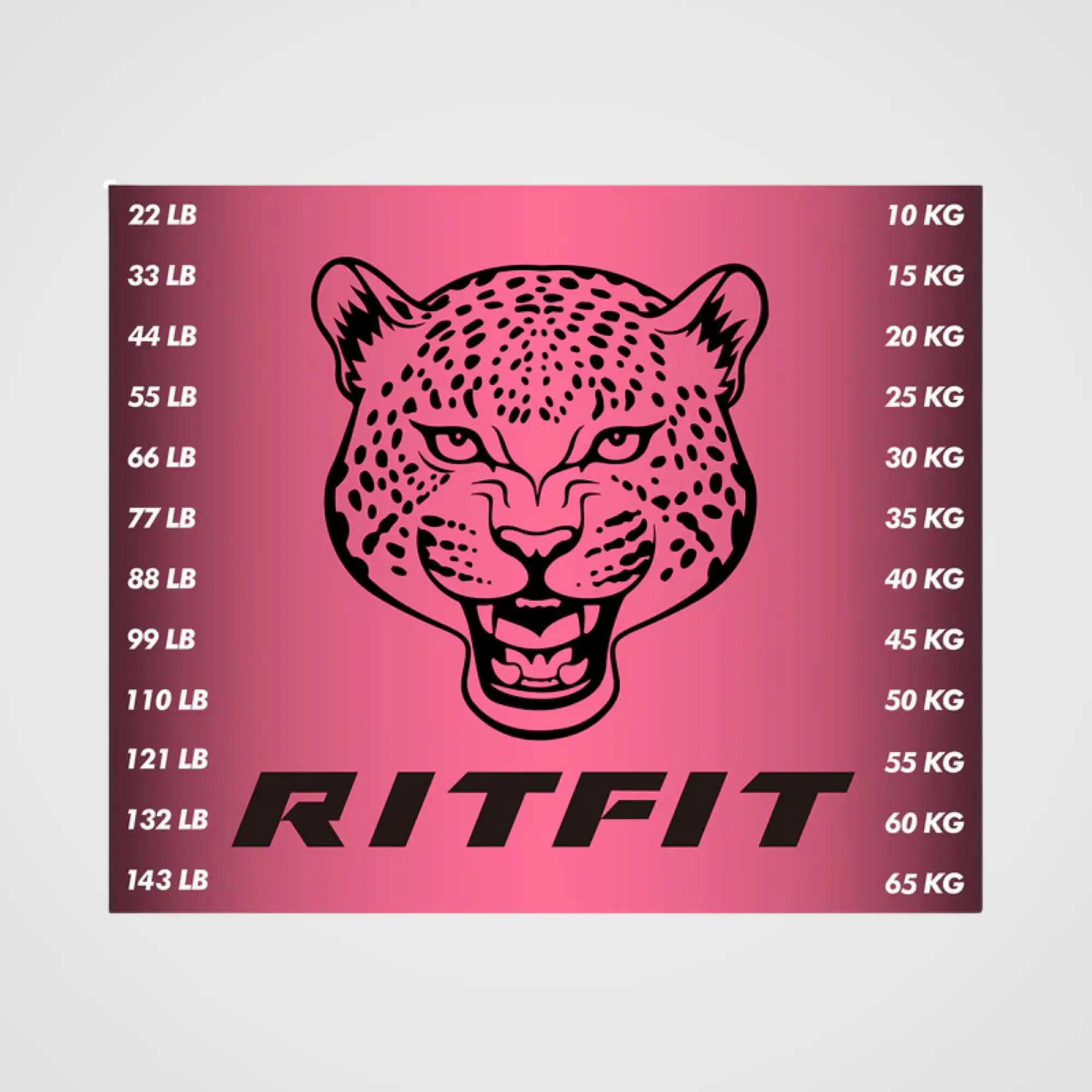 RitFit M1 PRO / M2 PRO Weight Stack Stickers